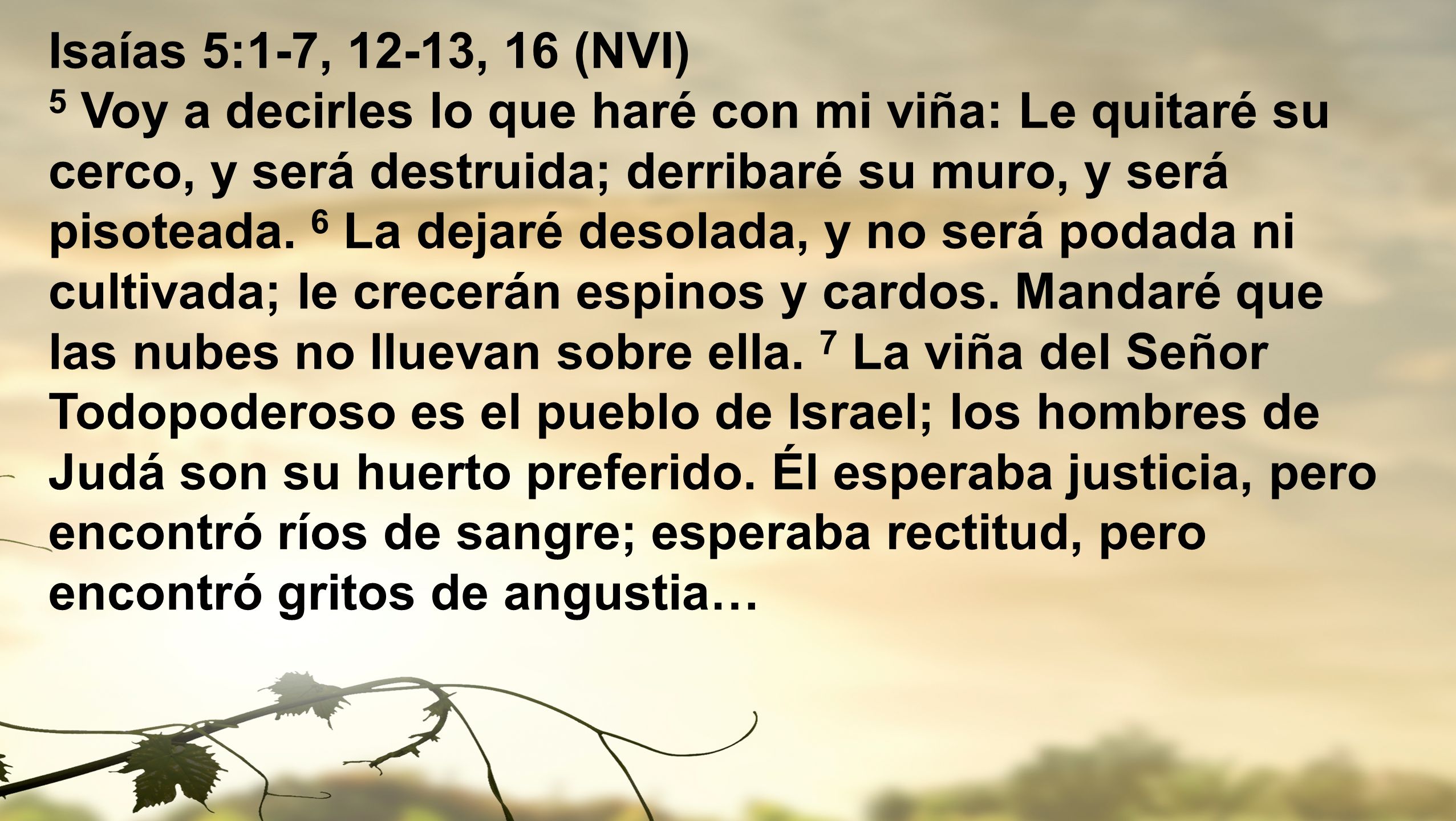 Isaías 5:1-7, 12-13, 16 (NVI) 5 Voy a decirles lo que haré con mi viña: Le quitaré su cerco, y será destruida; derribaré su muro, y será pisoteada.