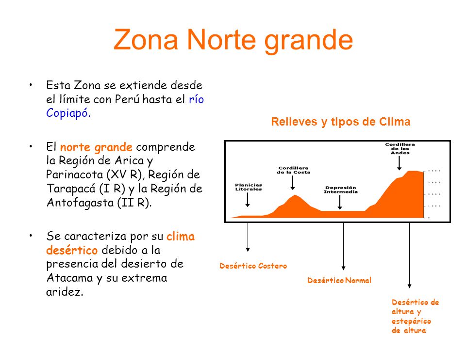 Zona Norte grande Esta Zona se extiende desde el límite con Perú hasta el río Copiapó.
