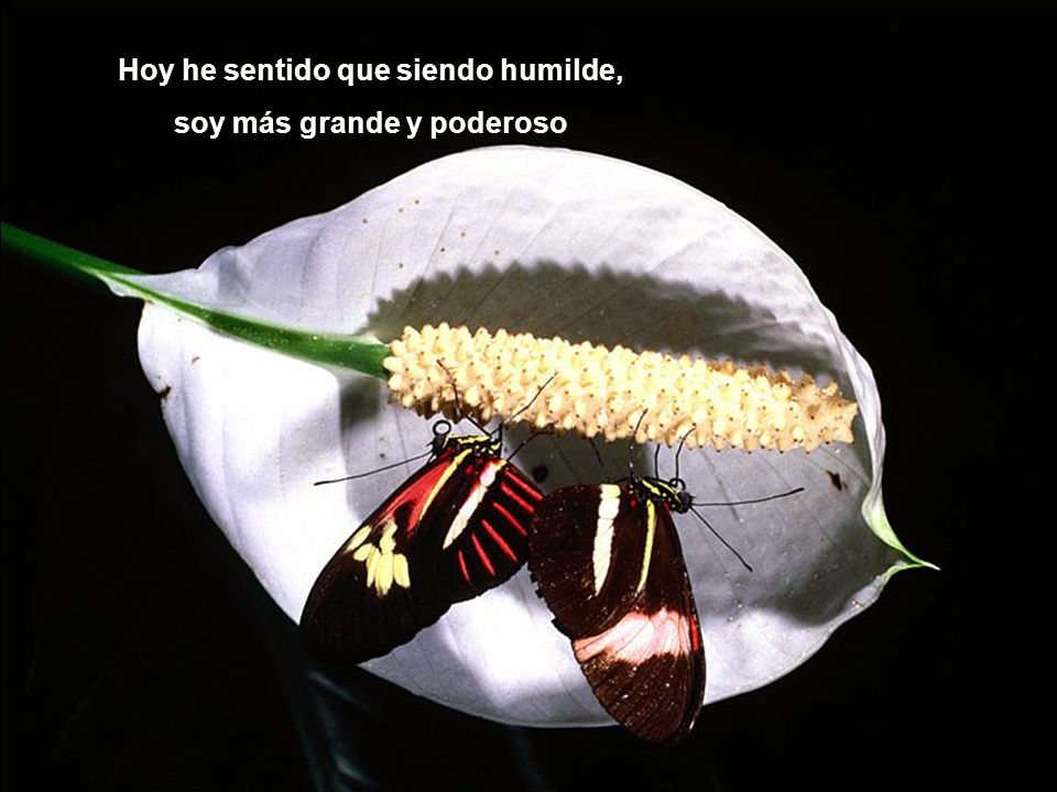 Hoy he sentido que siendo humilde, soy más grande y poderoso