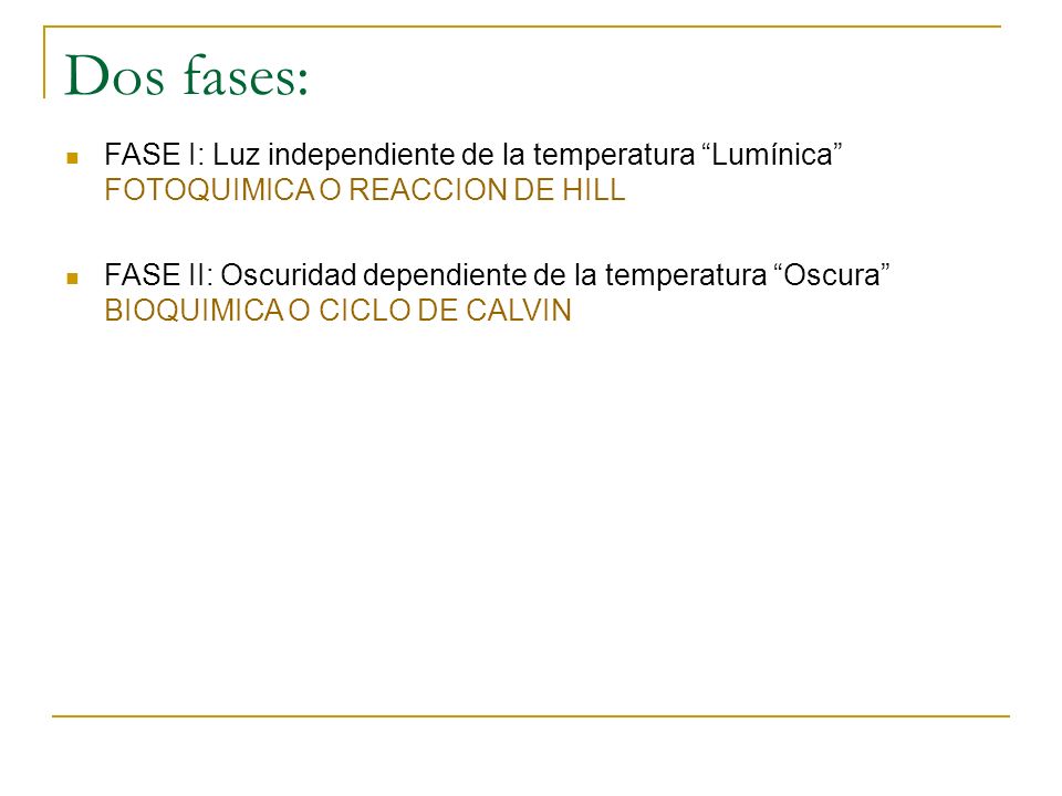 Dos fases: FASE I: Luz independiente de la temperatura Lumínica FOTOQUIMICA O REACCION DE HILL.