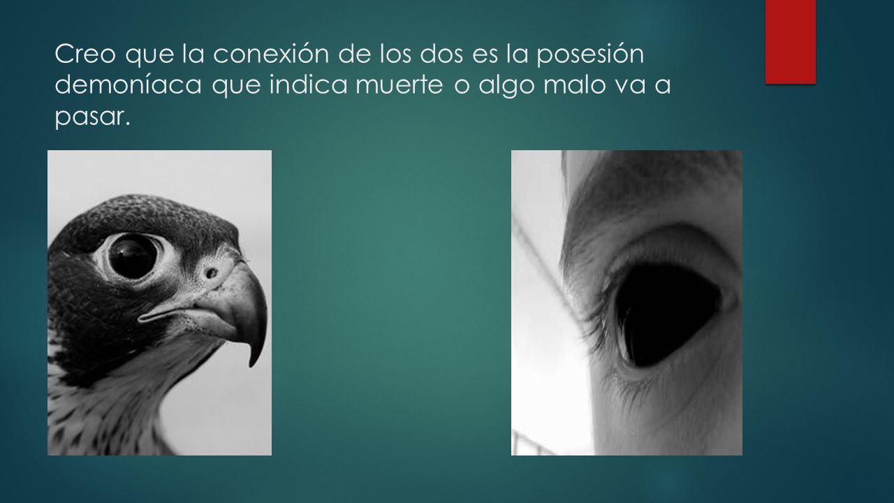 Creo que la conexión de los dos es la posesión demoníaca que indica muerte o algo malo va a pasar.