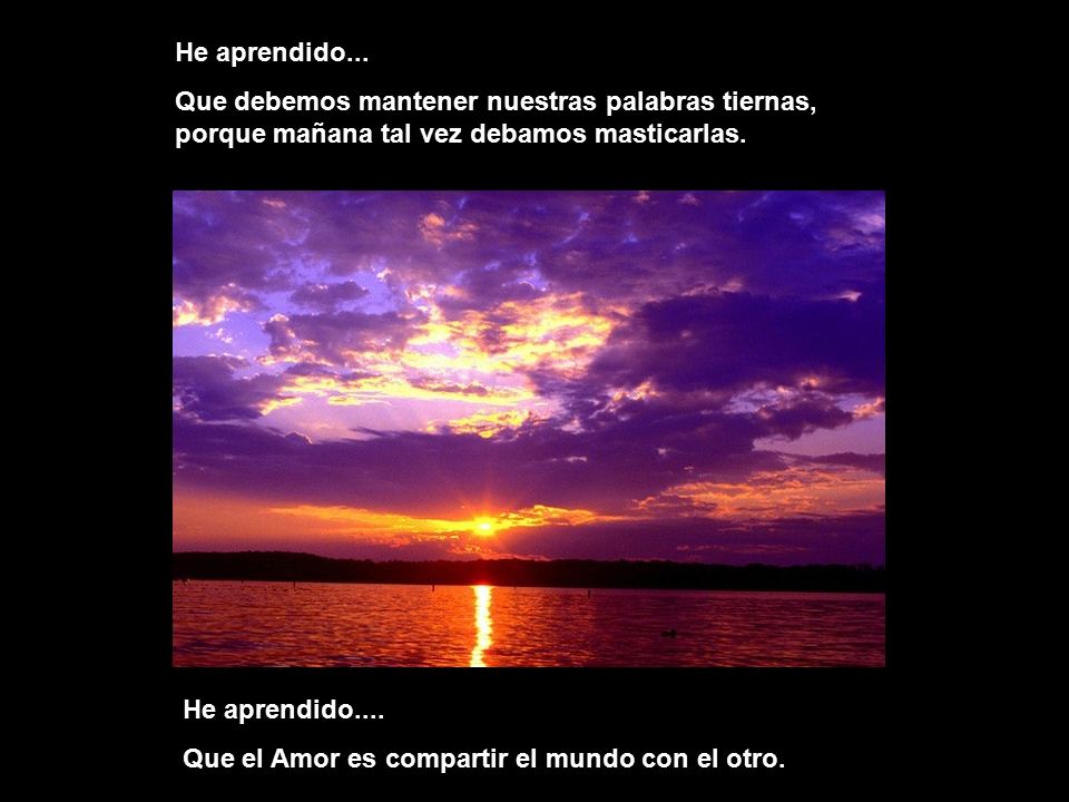 He aprendido... Que debemos mantener nuestras palabras tiernas, porque mañana tal vez debamos masticarlas.