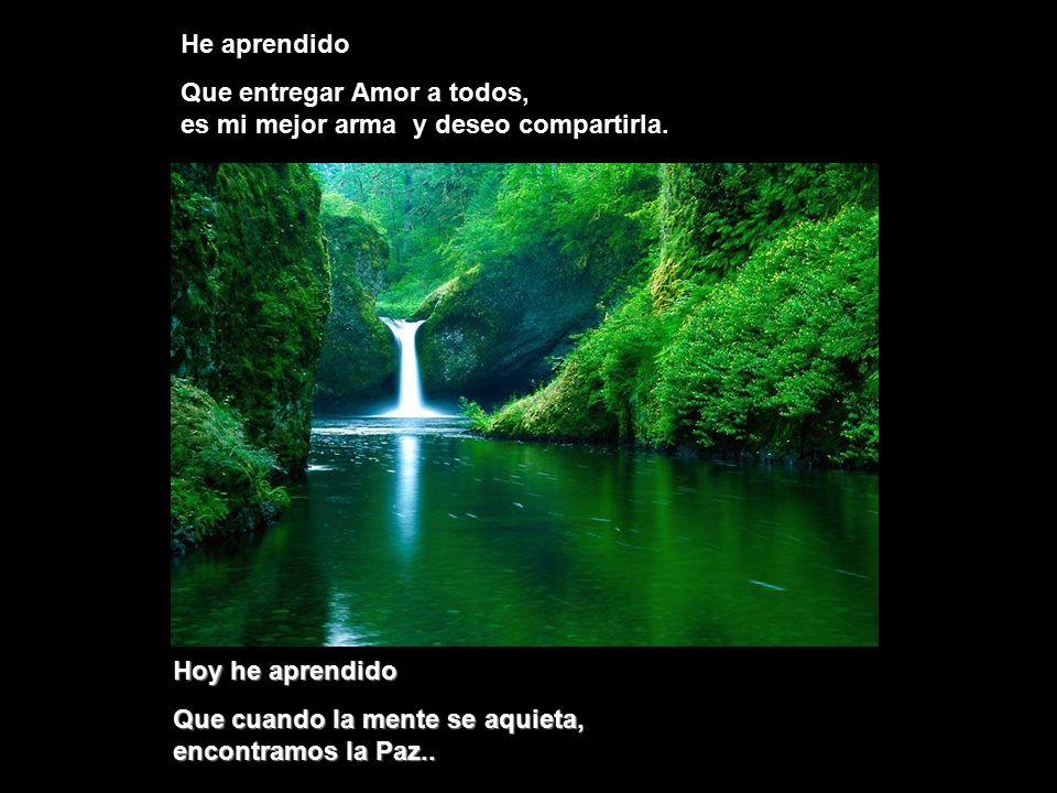 He aprendido Que entregar Amor a todos, es mi mejor arma y deseo compartirla.