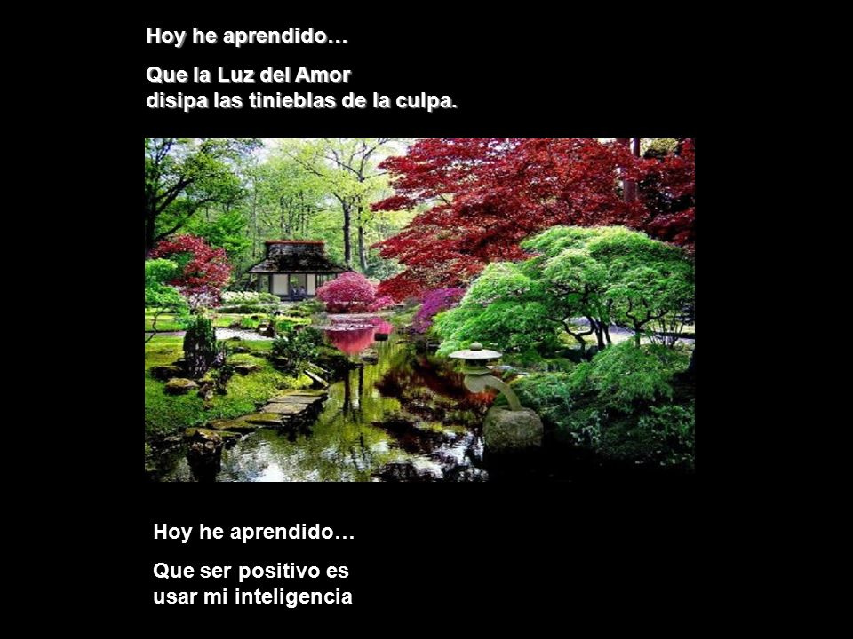 Hoy he aprendido… Que la Luz del Amor disipa las tinieblas de la culpa. Hoy he aprendido…