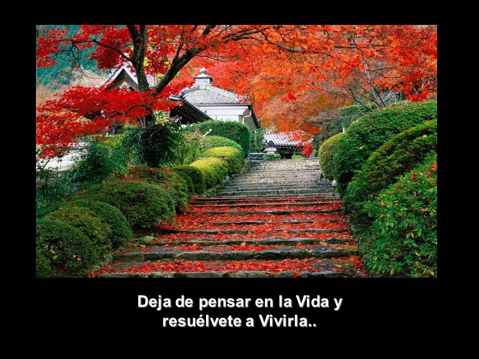 Deja de pensar en la Vida y resuélvete a Vivirla..