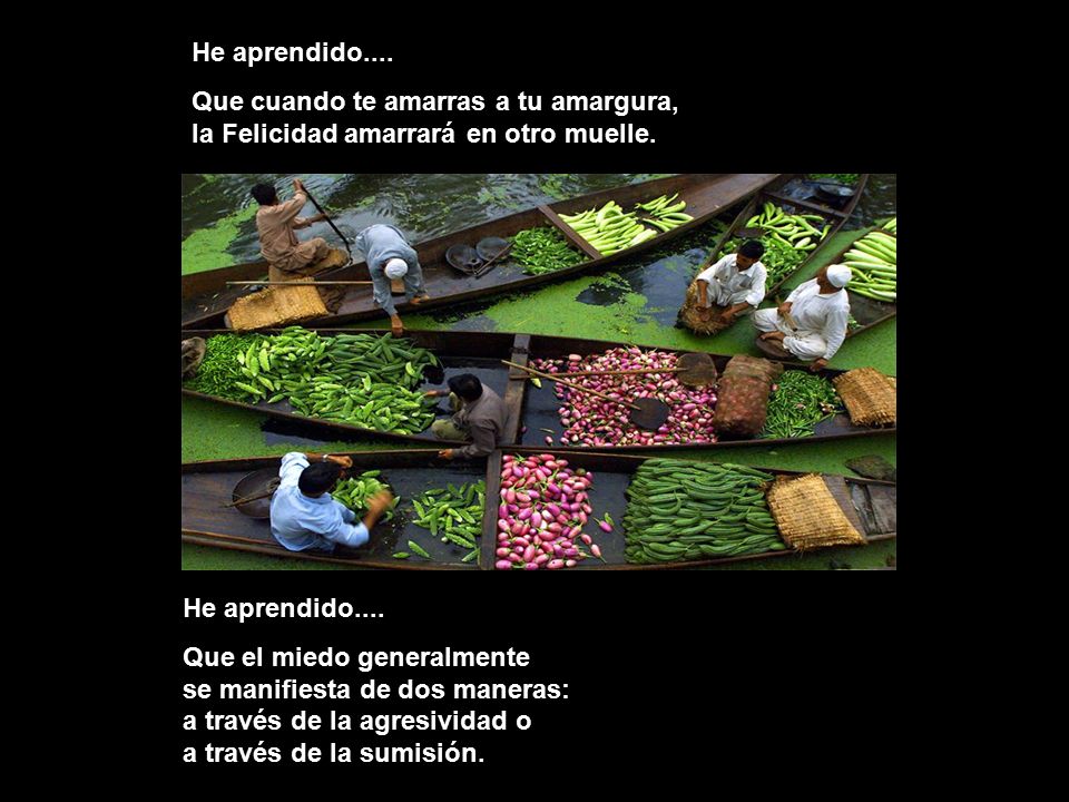 He aprendido.... Que cuando te amarras a tu amargura, la Felicidad amarrará en otro muelle.