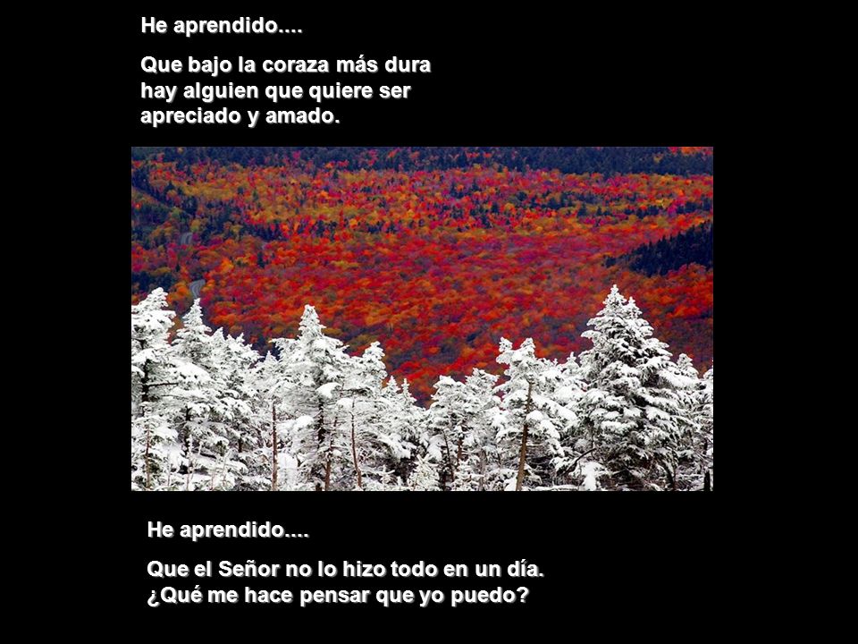 He aprendido.... Que bajo la coraza más dura hay alguien que quiere ser apreciado y amado. He aprendido....