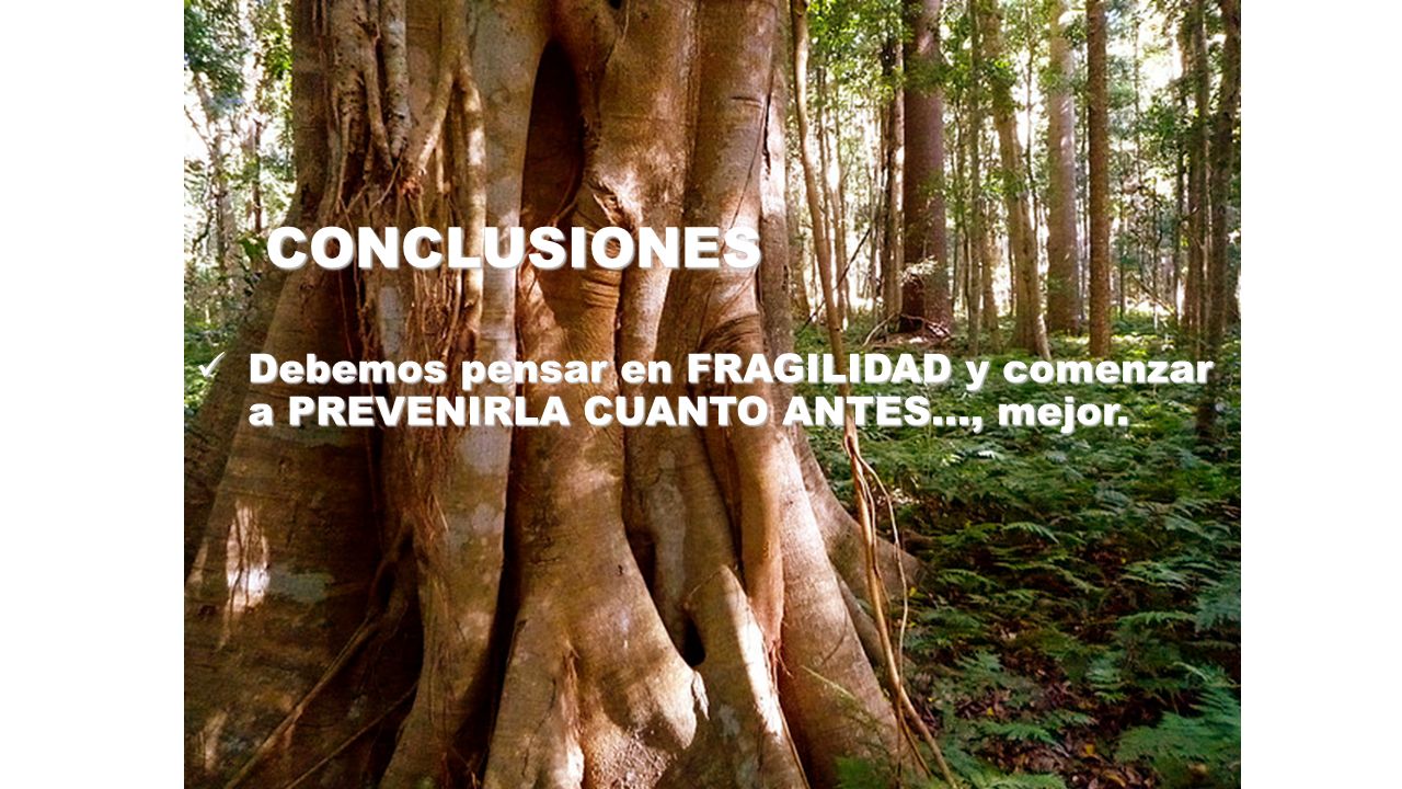 CONCLUSIONES Debemos pensar en FRAGILIDAD y comenzar a PREVENIRLA CUANTO ANTES…, mejor.
