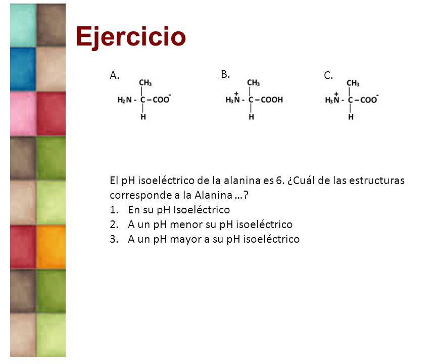 Ejercicio A. B. C. El pH isoeléctrico de la alanina es 6. ¿Cuál de las estructuras corresponde a la Alanina …