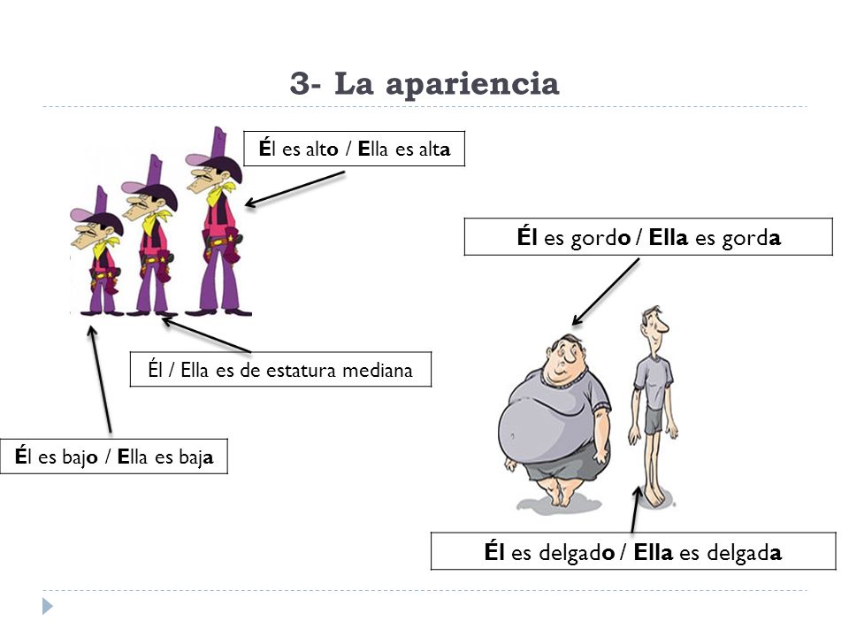 3- La apariencia Él es gordo / Ella es gorda