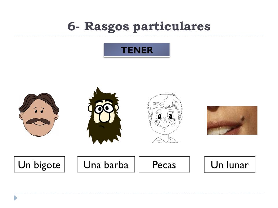 6- Rasgos particulares TENER Un bigote Una barba Pecas Un lunar