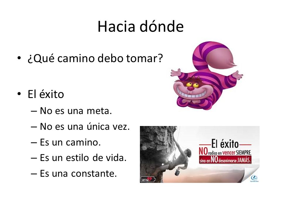 Hacia dónde ¿Qué camino debo tomar El éxito No es una meta.
