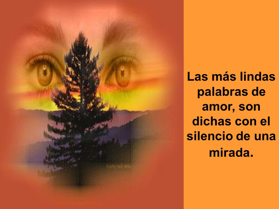 Las más lindas palabras de amor, son dichas con el silencio de una mirada.