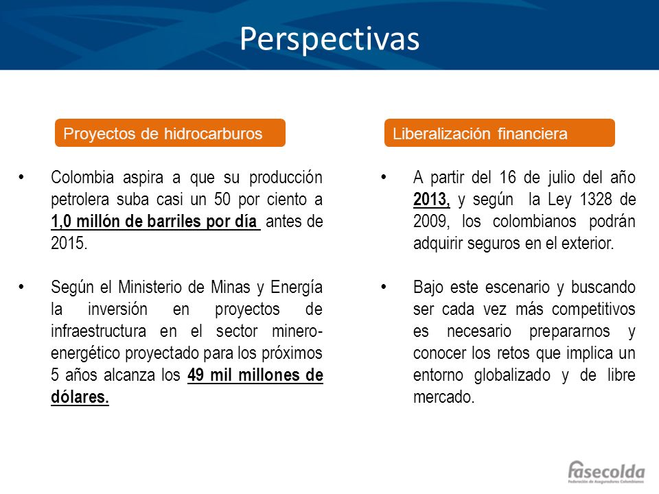 Perspectivas Proyectos de hidrocarburos. Liberalización financiera.