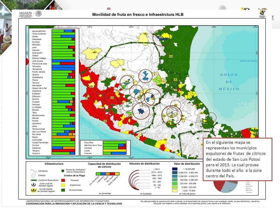 En el siguiente mapa se representan los municipios expulsores de frutas de cítricos del estado de San Luis Potosí para el 2013.