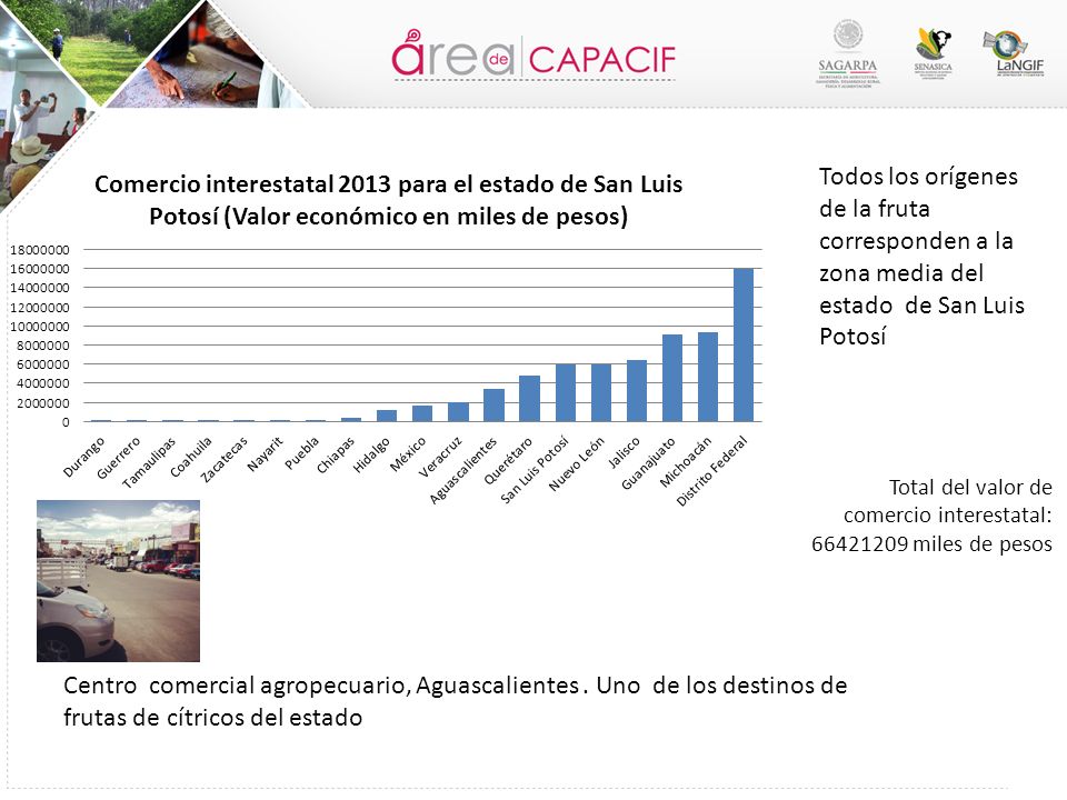 Todos los orígenes de la fruta corresponden a la zona media del estado de San Luis Potosí