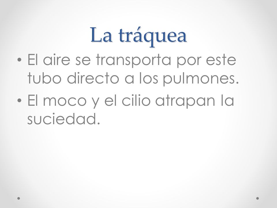 La tráquea El aire se transporta por este tubo directo a los pulmones.