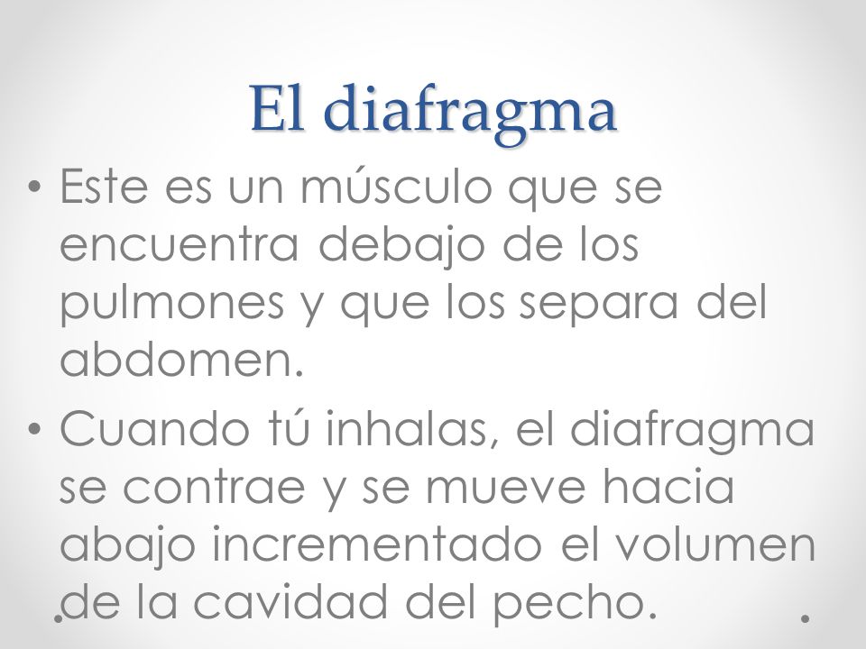 El diafragma Este es un músculo que se encuentra debajo de los pulmones y que los separa del abdomen.