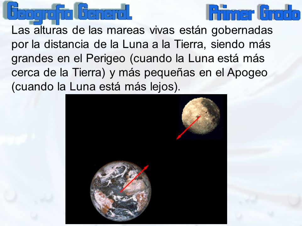 Las alturas de las mareas vivas están gobernadas por la distancia de la Luna a la Tierra, siendo más grandes en el Perigeo (cuando la Luna está más cerca de la Tierra) y más pequeñas en el Apogeo (cuando la Luna está más lejos).
