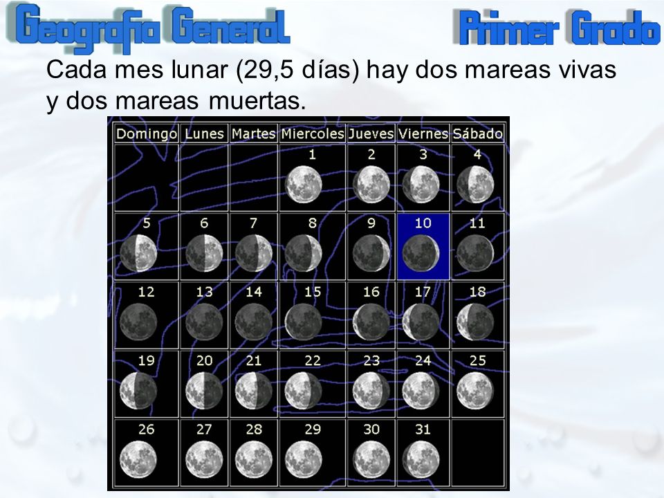 Cada mes lunar (29,5 días) hay dos mareas vivas y dos mareas muertas.