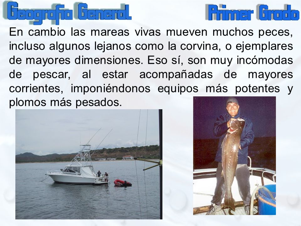 En cambio las mareas vivas mueven muchos peces, incluso algunos lejanos como la corvina, o ejemplares de mayores dimensiones.