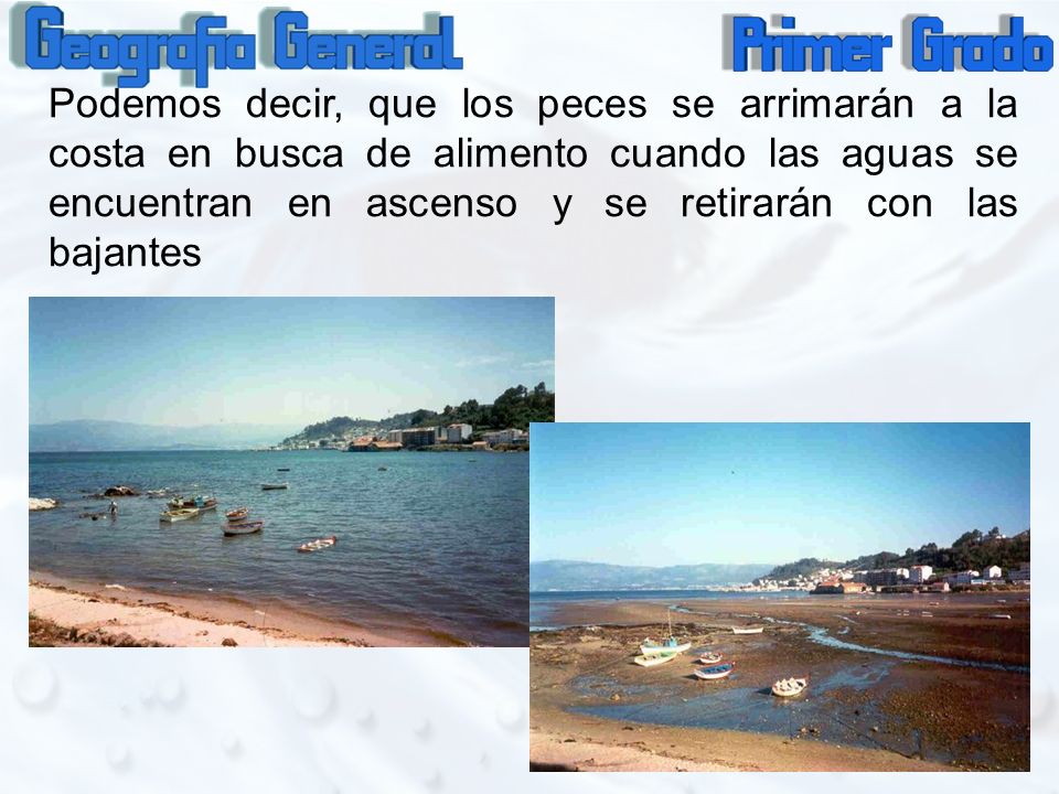 Podemos decir, que los peces se arrimarán a la costa en busca de alimento cuando las aguas se encuentran en ascenso y se retirarán con las bajantes