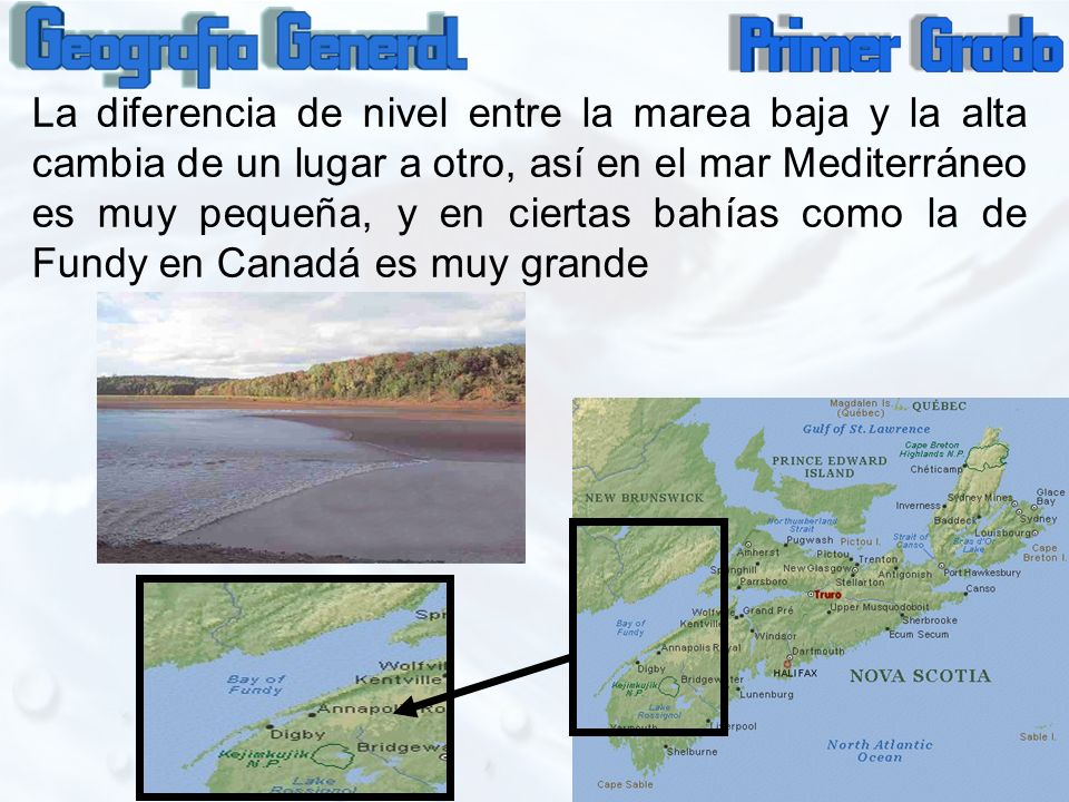 La diferencia de nivel entre la marea baja y la alta cambia de un lugar a otro, así en el mar Mediterráneo es muy pequeña, y en ciertas bahías como la de Fundy en Canadá es muy grande