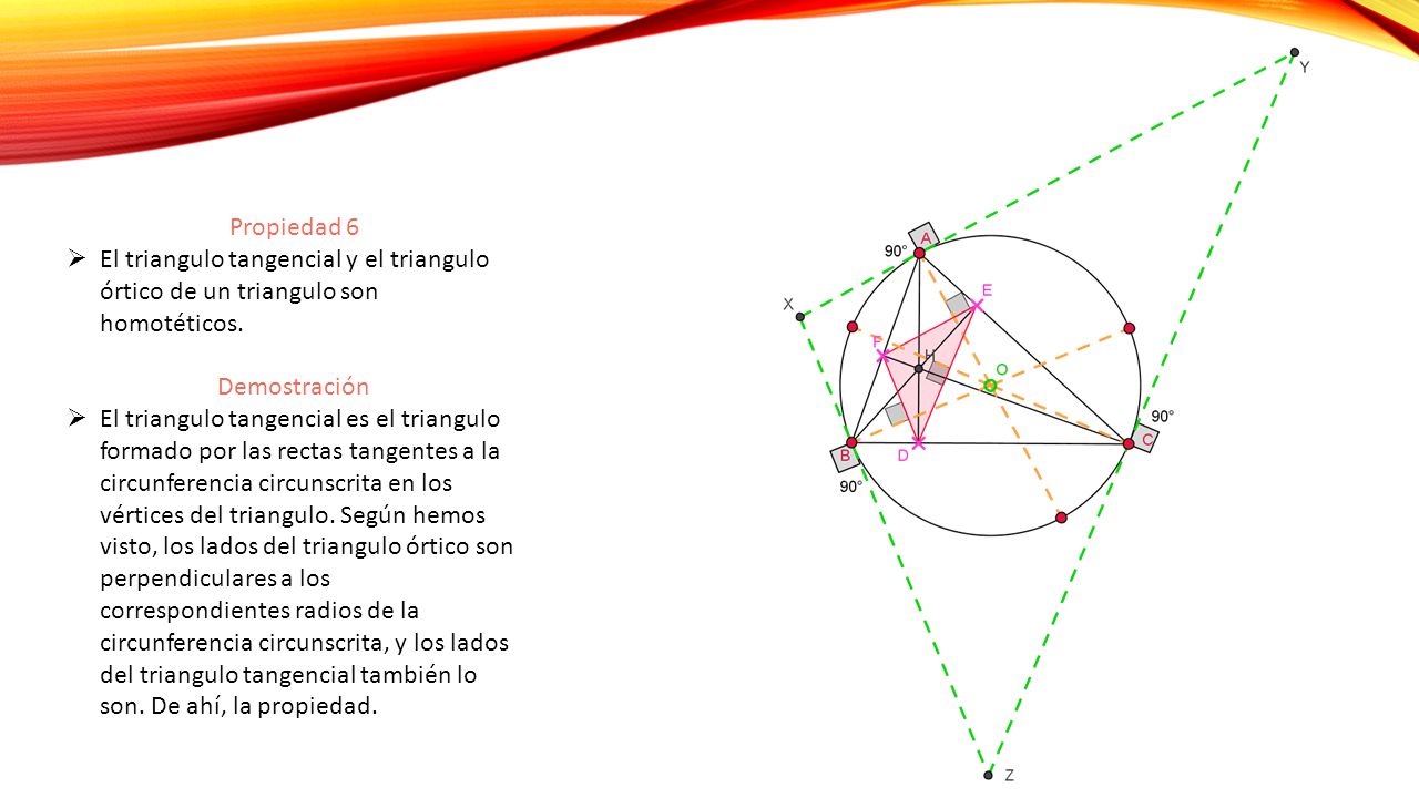 Propiedad 6 El triangulo tangencial y el triangulo órtico de un triangulo son homotéticos. Demostración.