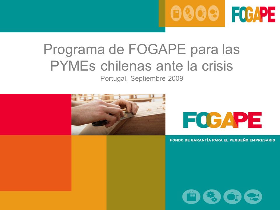 Programa de FOGAPE para las PYMEs chilenas ante la crisis