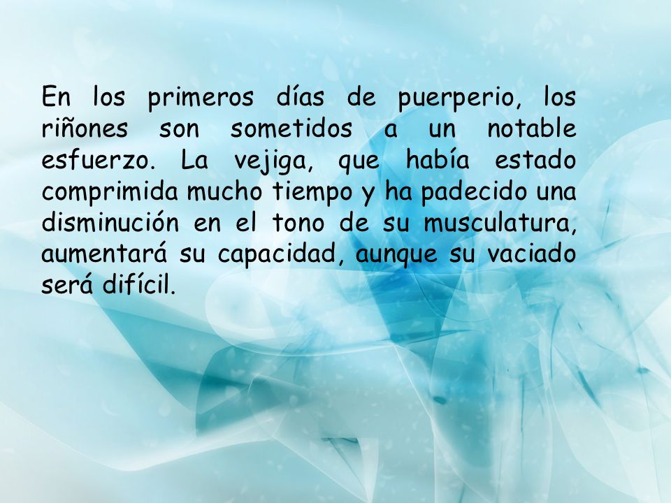 En los primeros días de puerperio, los riñones son sometidos a un notable esfuerzo.