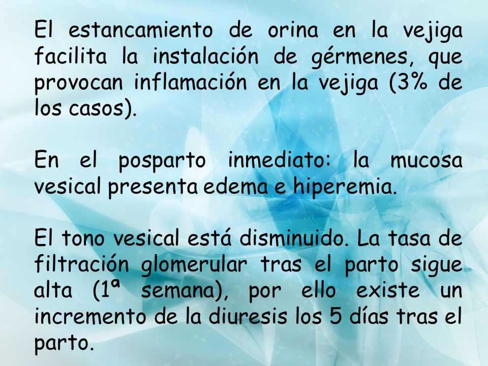 El estancamiento de orina en la vejiga facilita la instalación de gérmenes, que provocan inflamación en la vejiga (3% de los casos).