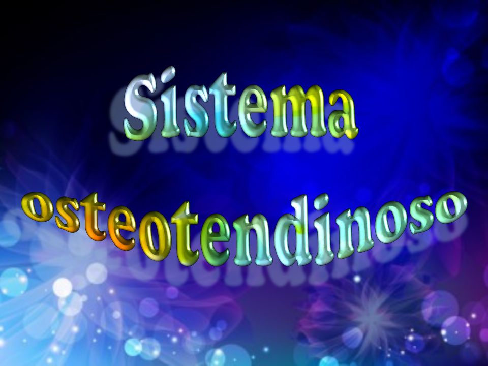 Sistema osteotendinoso