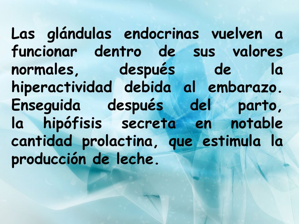 Las glándulas endocrinas vuelven a funcionar dentro de sus valores normales, después de la hiperactividad debida al embarazo.