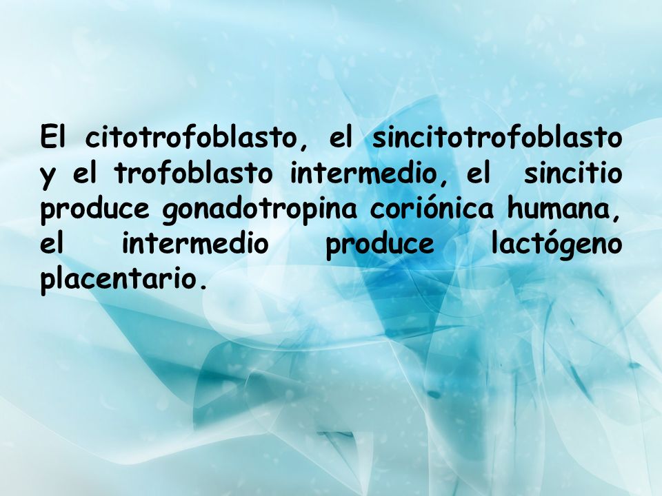 El citotrofoblasto, el sincitotrofoblasto y el trofoblasto intermedio, el sincitio produce gonadotropina coriónica humana, el intermedio produce lactógeno placentario.