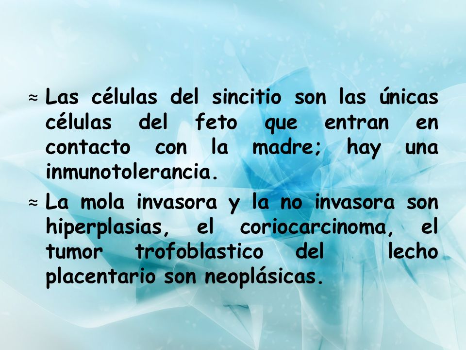 Las células del sincitio son las únicas células del feto que entran en contacto con la madre; hay una inmunotolerancia.