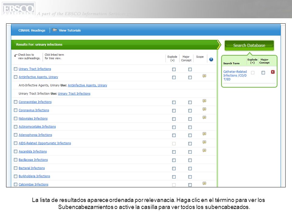 La lista de resultados aparece ordenada por relevanacia