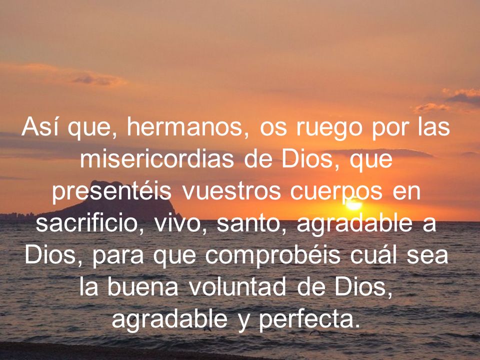 Así que, hermanos, os ruego por las misericordias de Dios, que presentéis vuestros cuerpos en sacrificio, vivo, santo, agradable a Dios, para que comprobéis cuál sea la buena voluntad de Dios, agradable y perfecta.
