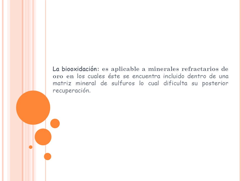 La biooxidación: es aplicable a minerales refractarios de oro en los cuales éste se encuentra incluido dentro de una matriz mineral de sulfuros lo cual dificulta su posterior recuperación.