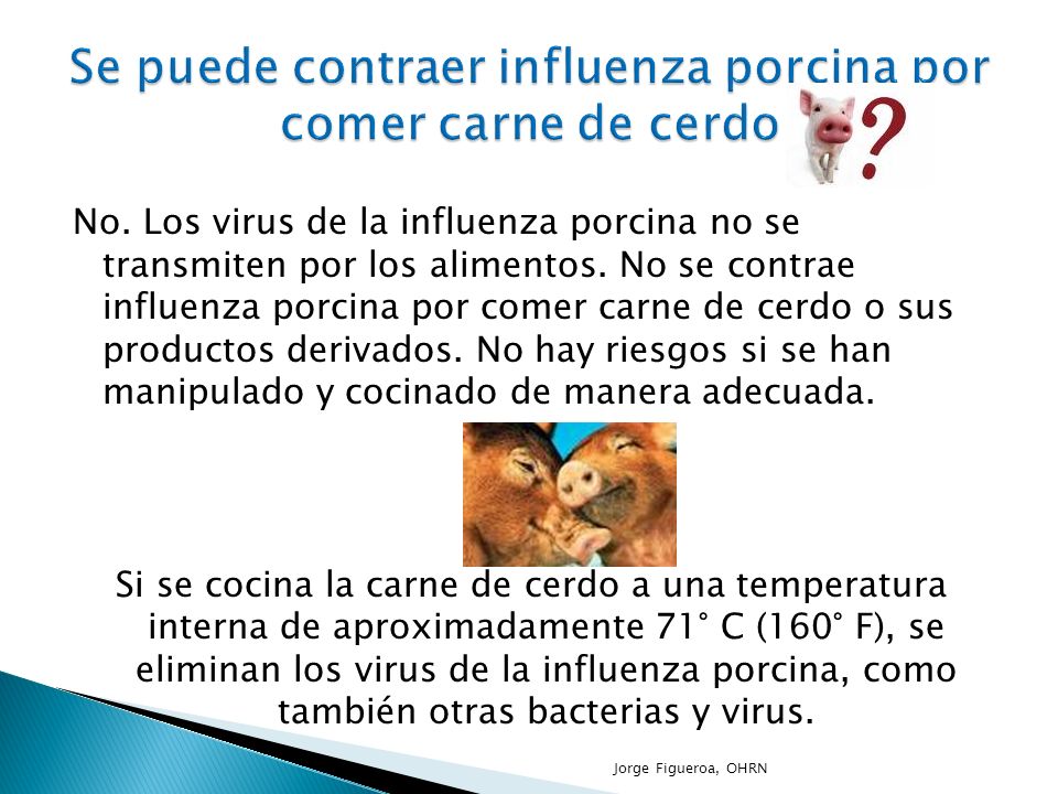 Se puede contraer influenza porcina por comer carne de cerdo