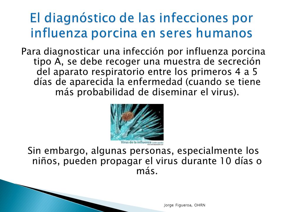 El diagnóstico de las infecciones por influenza porcina en seres humanos