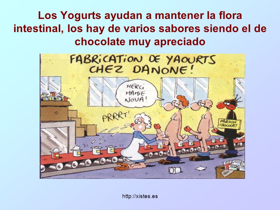 Los Yogurts ayudan a mantener la flora intestinal, los hay de varios sabores siendo el de chocolate muy apreciado