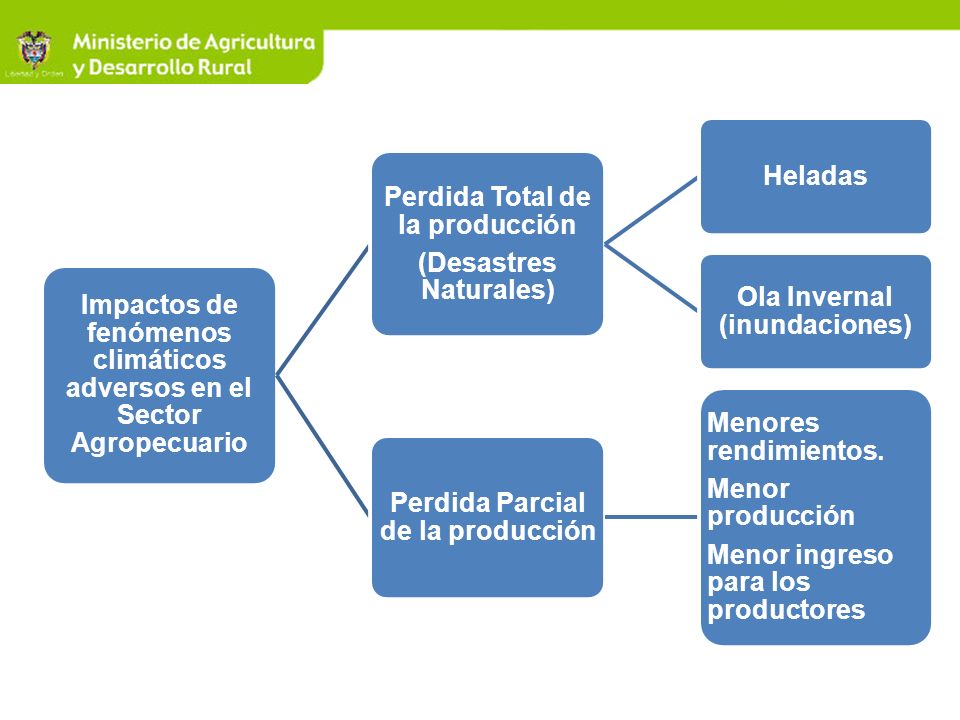 Impactos de fenómenos climáticos adversos en el Sector Agropecuario
