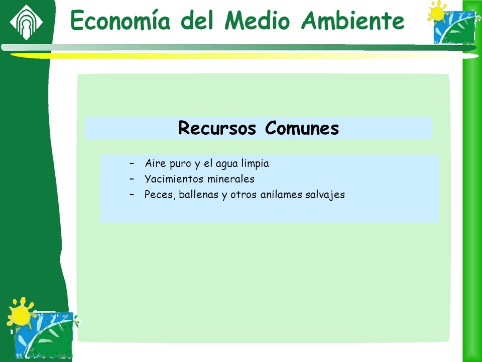 Recursos Comunes Aire puro y el agua limpia Yacimientos minerales
