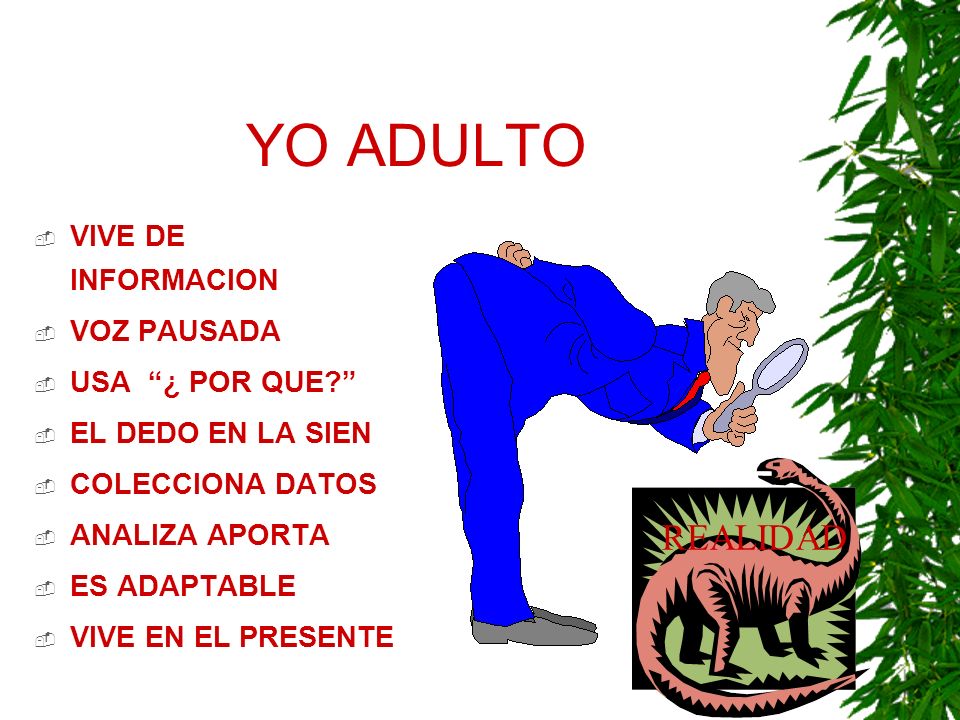 YO ADULTO REALIDAD VIVE DE INFORMACION VOZ PAUSADA USA ¿ POR QUE