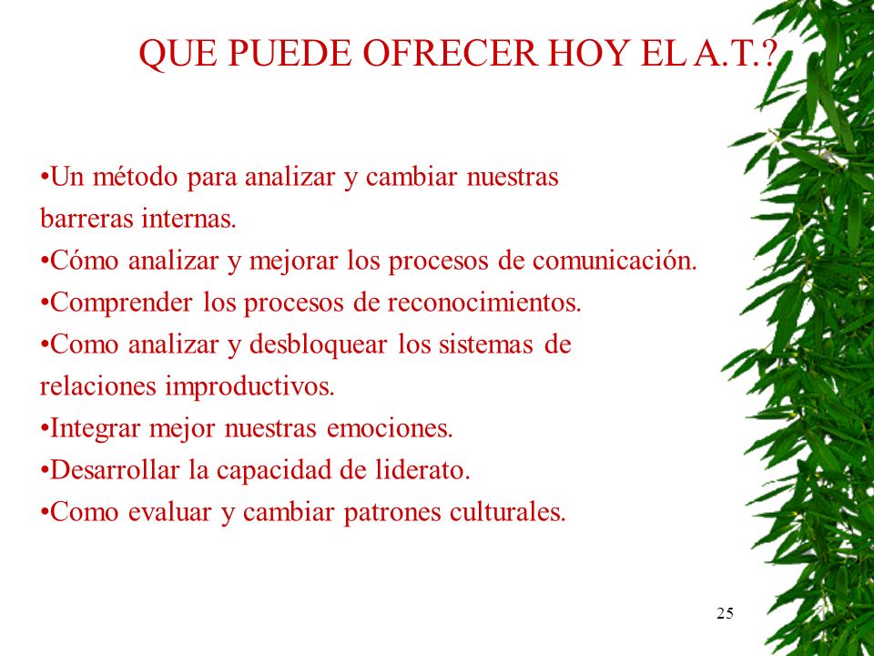QUE PUEDE OFRECER HOY EL A.T.
