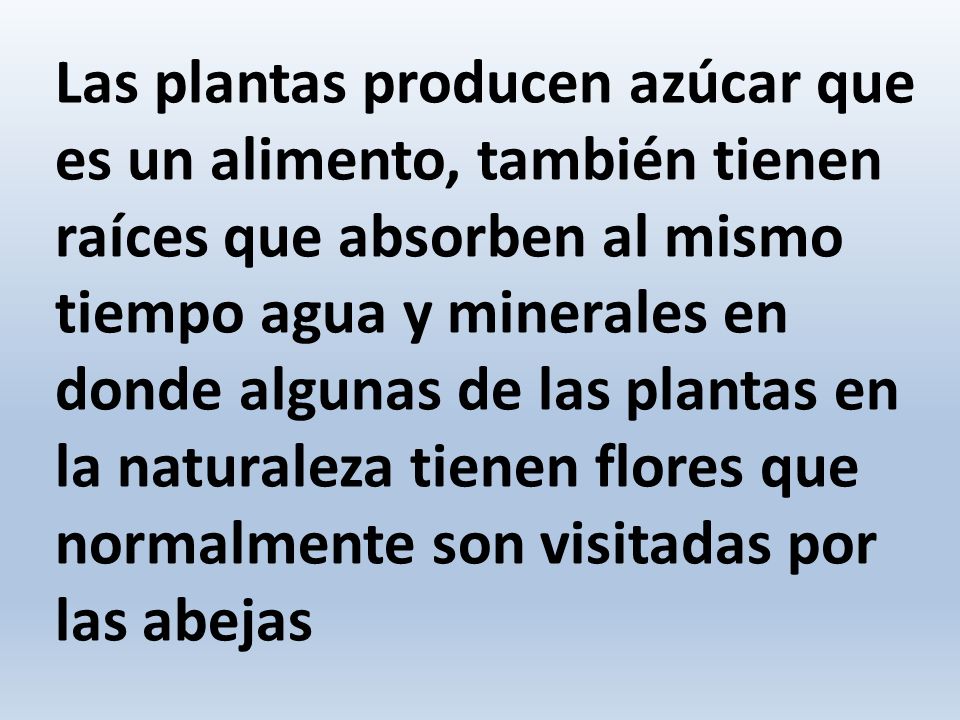 Las plantas producen azúcar que es un alimento, también tienen raíces que absorben al mismo tiempo agua y minerales en donde algunas de las plantas en la naturaleza tienen flores que normalmente son visitadas por las abejas