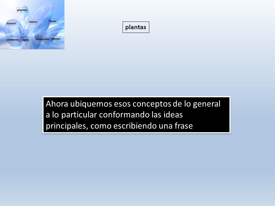 plantas Ahora ubiquemos esos conceptos de lo general a lo particular conformando las ideas principales, como escribiendo una frase.