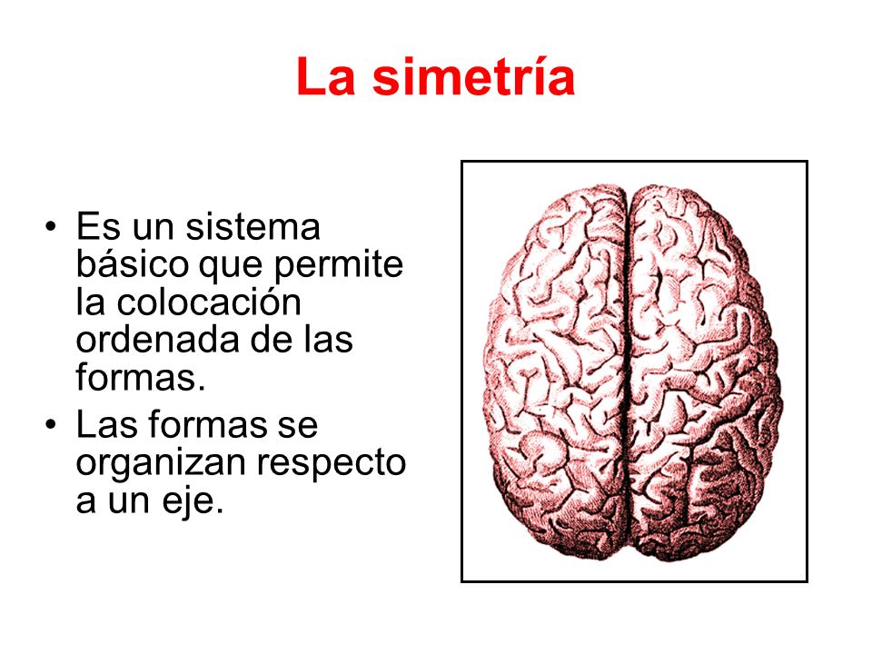 La simetría Es un sistema básico que permite la colocación ordenada de las formas. Las formas se organizan respecto a un eje.