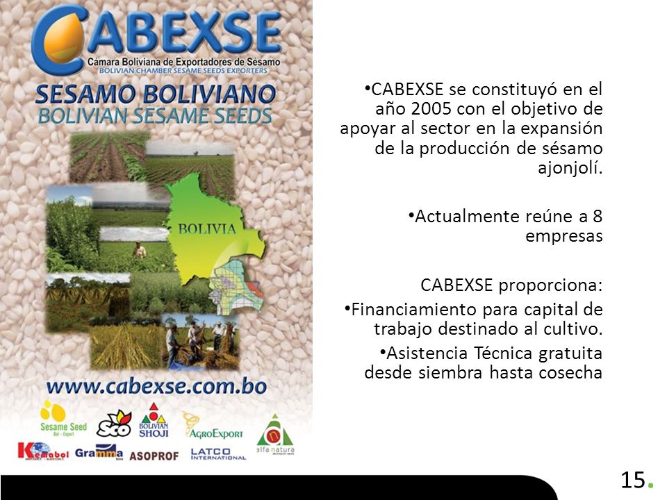 CABEXSE se constituyó en el año 2005 con el objetivo de apoyar al sector en la expansión de la producción de sésamo ajonjolí.