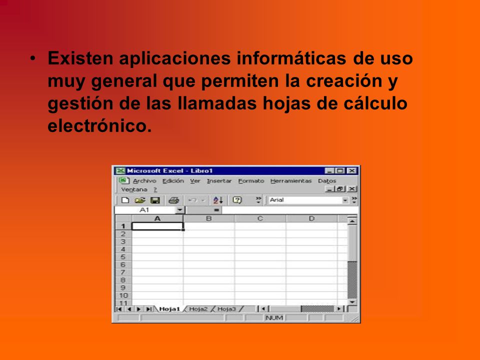 Existen aplicaciones informáticas de uso muy general que permiten la creación y gestión de las llamadas hojas de cálculo electrónico.